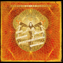 Load image into Gallery viewer, Further Seems Forever 'Hide Nothing'