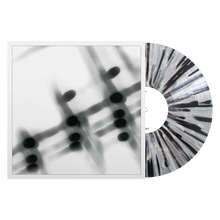 Load image into Gallery viewer, Gregor Samsa '40:13.5'