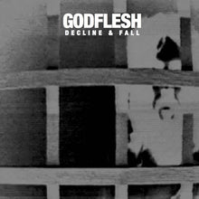 Load image into Gallery viewer, Godflesh 'Decline & Fall'