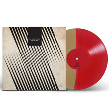 Load image into Gallery viewer, The Casket Lottery 'Feel The Teeth'