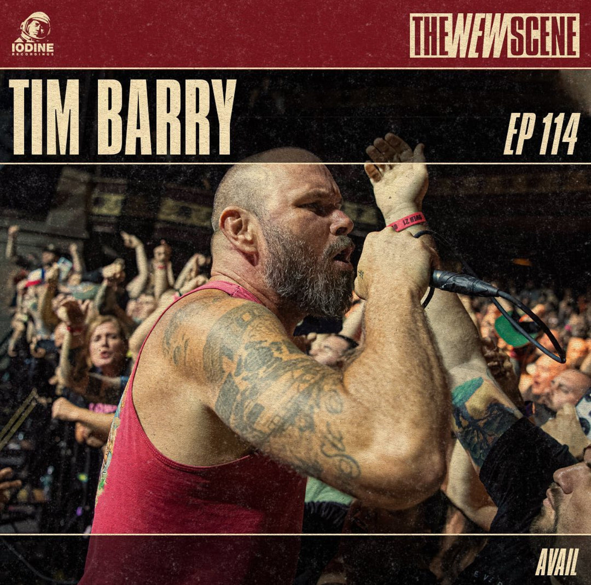 Ep.114: Tim Barry of Avail