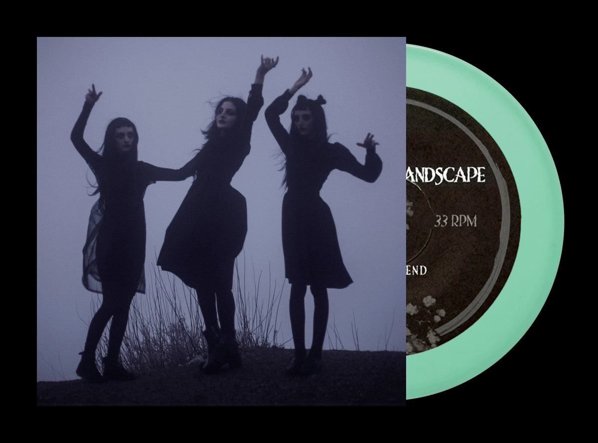 The Saddest Landscape 'Alone With Heaven' Deluxe 2xLP – alternate view 2