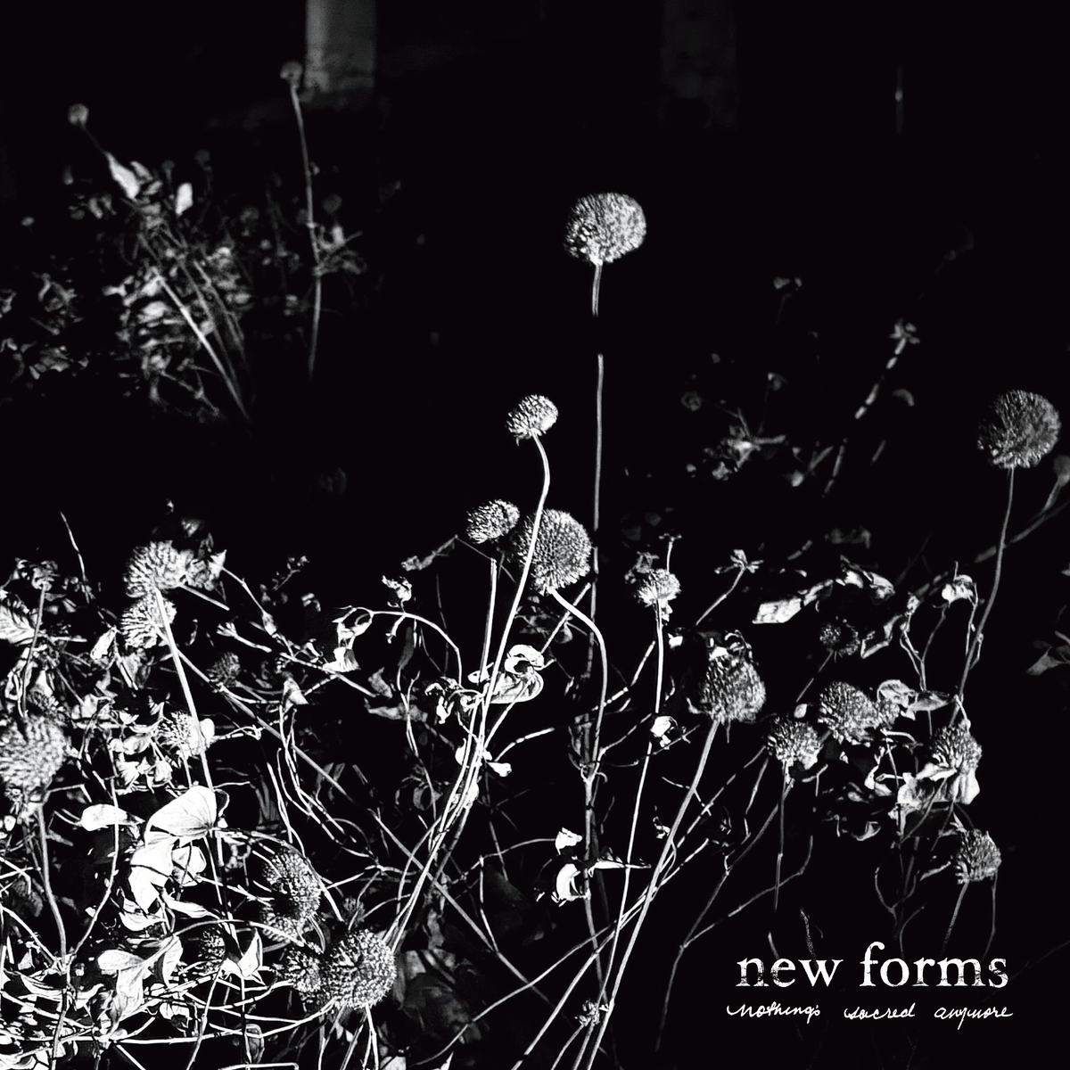 New Forms 'Nothing's Sacred Anymore'