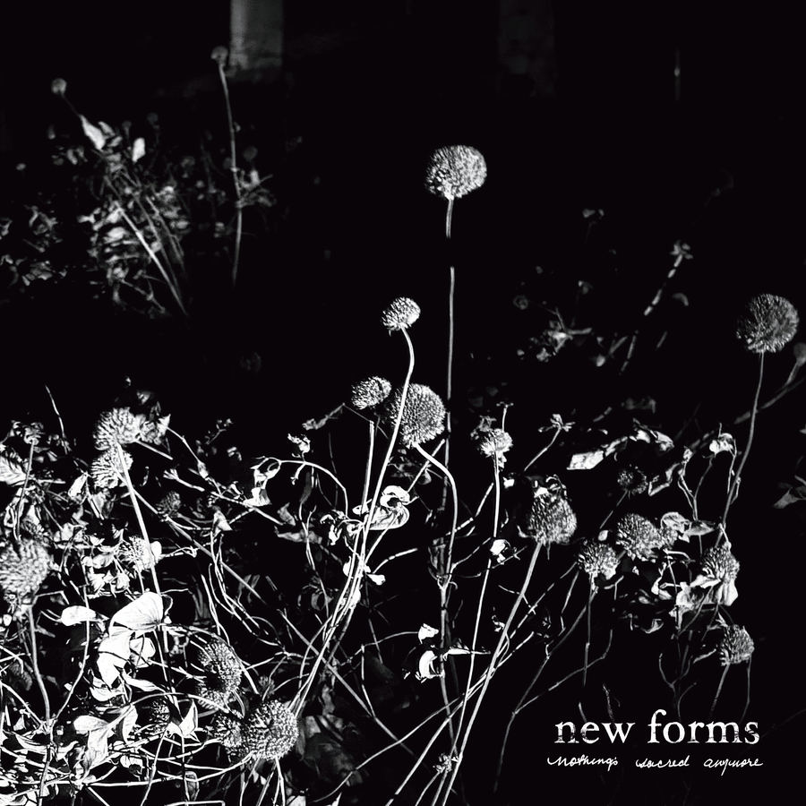 New Forms 'Nothing's Sacred Anymore'