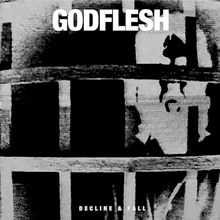 Load image into Gallery viewer, Godflesh &#39;Decline &amp; Fall&#39;
