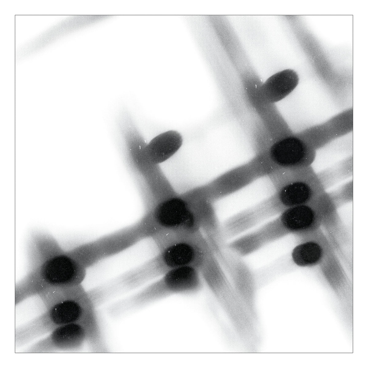 Gregor Samsa '40:13.5'