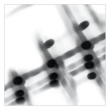 Load image into Gallery viewer, Gregor Samsa &#39;40:13.5&#39;

