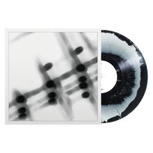 Load image into Gallery viewer, Gregor Samsa &#39;40:13.5&#39;
