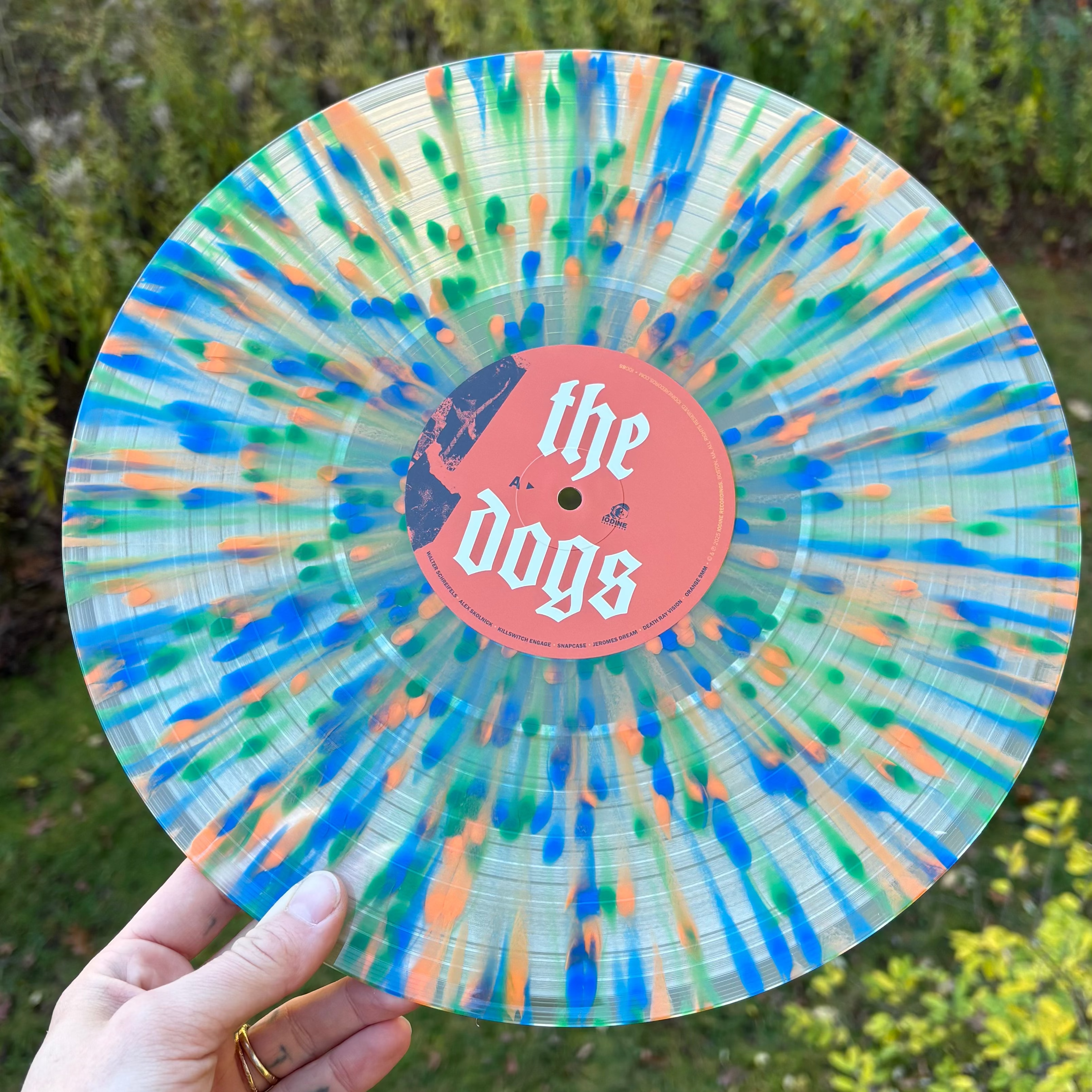 Various Artists 'The Dogs of Hope' – alternate view 6