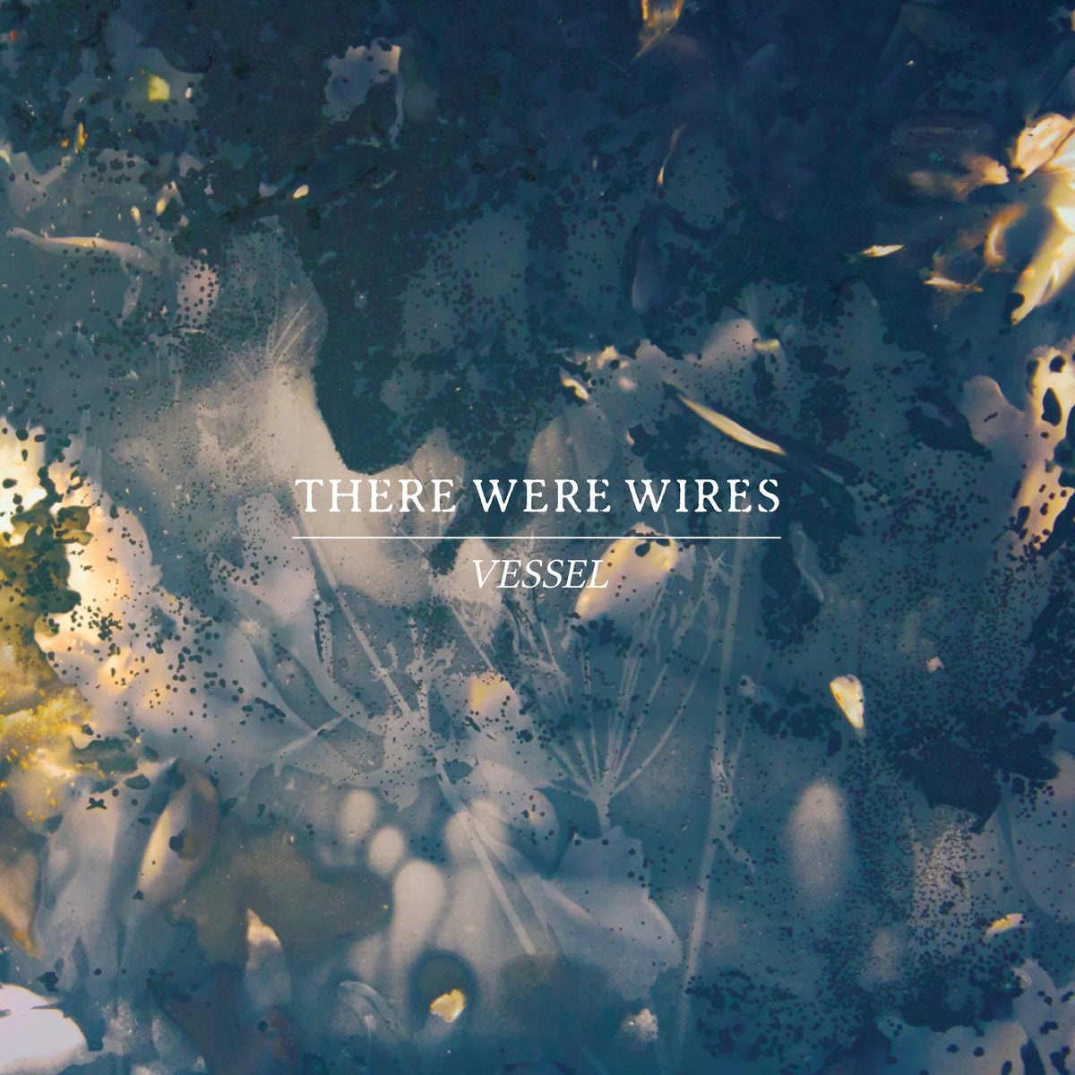There Were Wires 'Vessel'