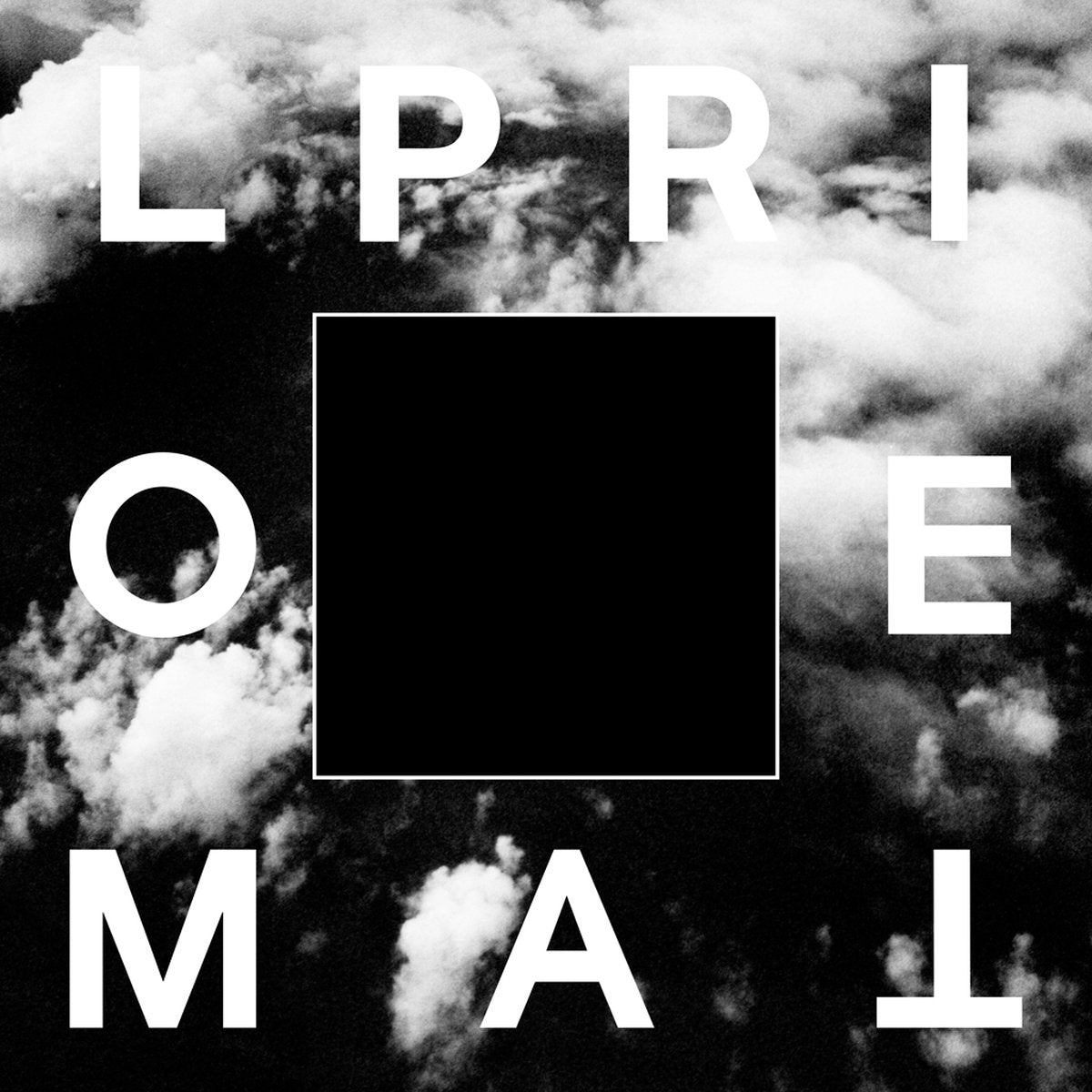Loma Prieta 'Self Portrait'