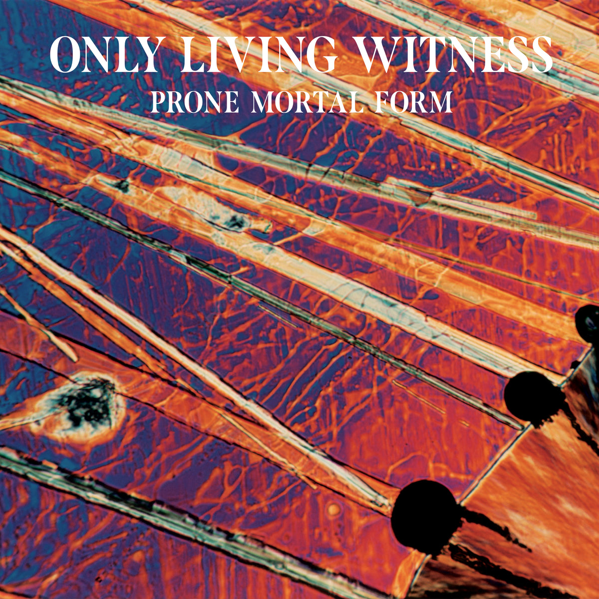 Only Living Witness 'Prone Mortal Form'