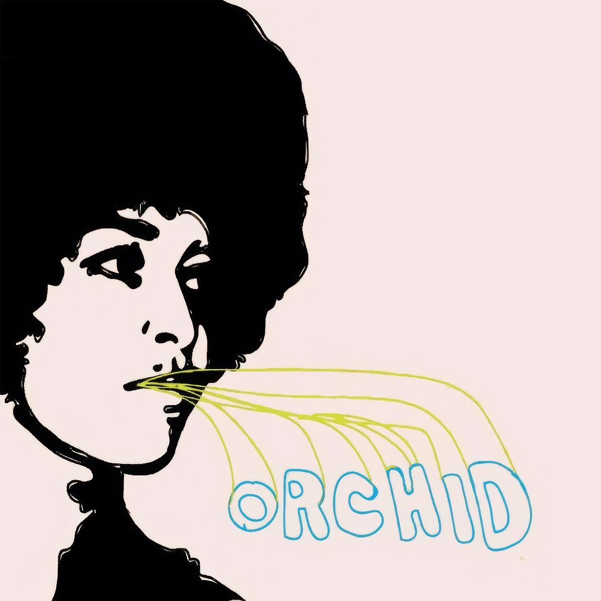 Orchid 'Orchid'