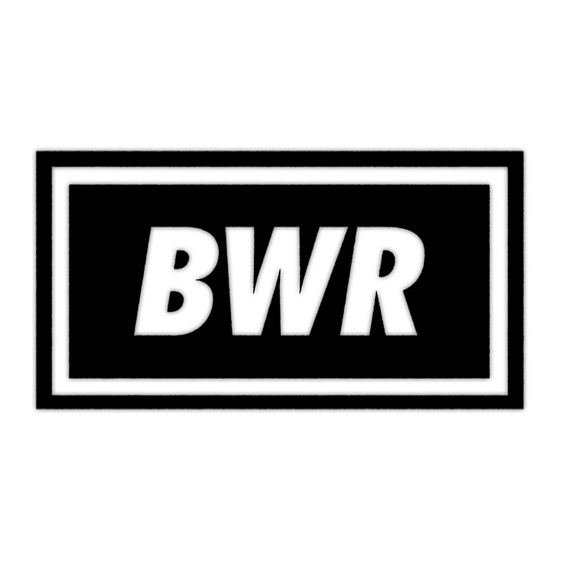 BWR Logo Pin