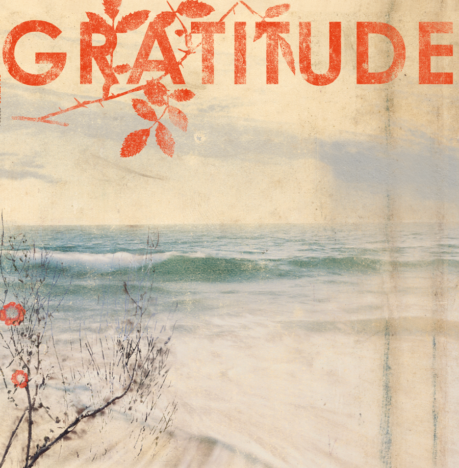 Gratitude 'Gratitude'