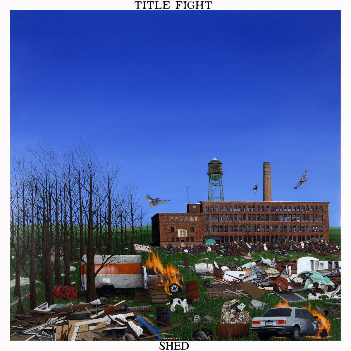 Title Fight 'Shed'