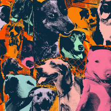 Load image into Gallery viewer, Various Artists &#39;The Dogs of Hope&#39;
